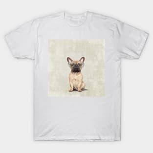 Mr Bulldog T-Shirt